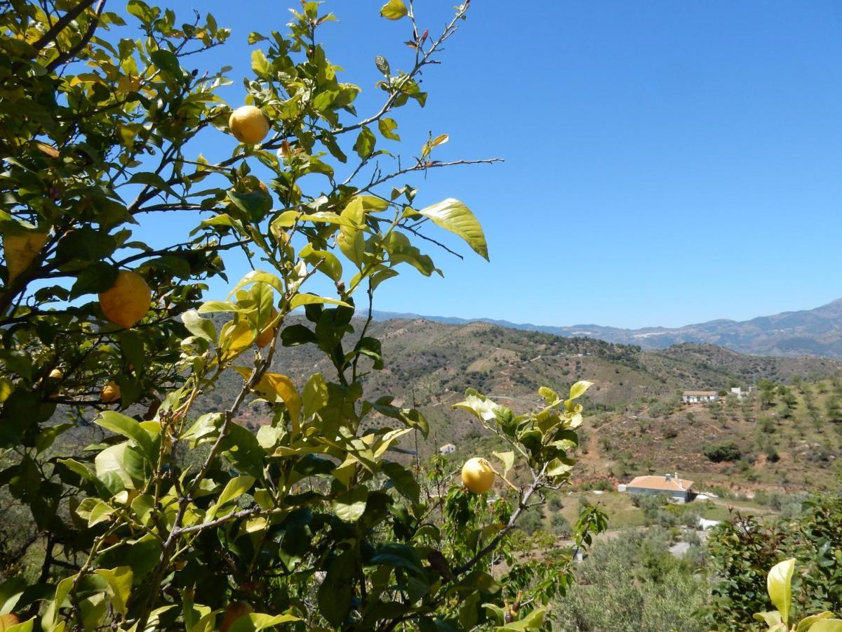 Casa Del Limonero Leilighet Guaro Eksteriør bilde